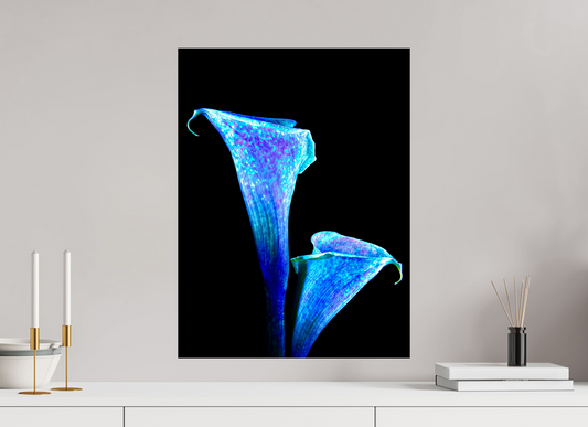 45 x 60 cm, Tirage simple sur papier photo Fuji Crystal Pearl L’Étreinte des Lys Stellaires