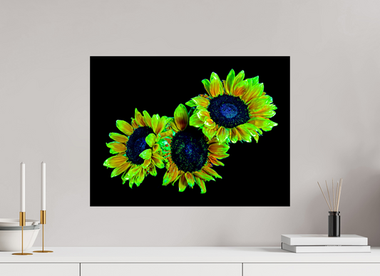 60 x 45 cm, Tirage simple sur papier photo Fuji Crystal Pearl Les gardiens du jour endormi