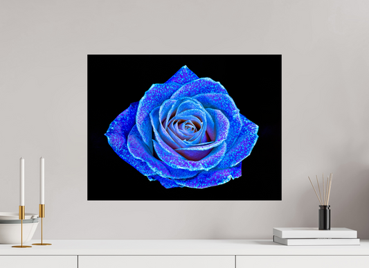 60 x 45 cm, Tirage simple sur papier photo Fuji Crystal Pearl La Rose aux mille constellations