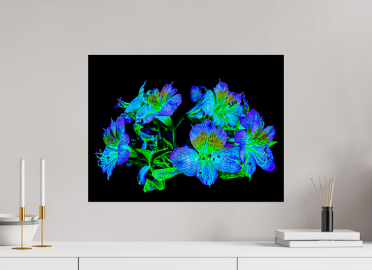 60 x 45 cm, Tirage simple sur papier photo Fuji Crystal Pearl Constellation Florale