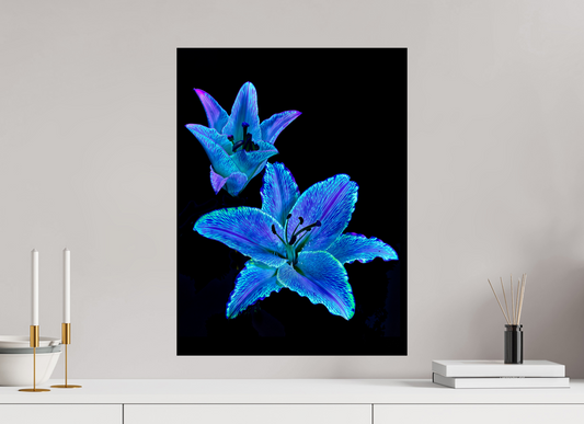 45 x 60 cm, Tirage simple sur papier photo Fuji Crystal Pearl Dialogue des Cœurs Stellaires