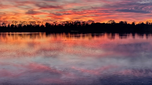 Reflets d’un Même Ciel V – Le Ciel Renversé