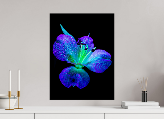 45 x 60 cm, Tirage simple sur papier photo Fuji Crystal Pearl L’éclat des ailes dans la rosée