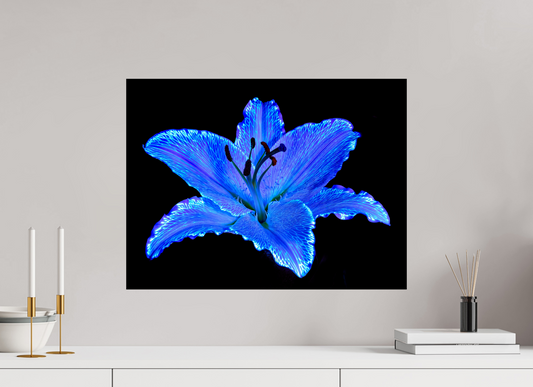 60 x 45 cm, Tirage simple sur papier photo Fuji Crystal Pearl Le Lys Astral