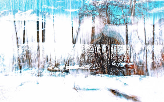 La Forêt qui chante la neige