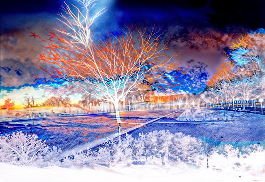 L’arbre qui se souvenait de tous les ciels