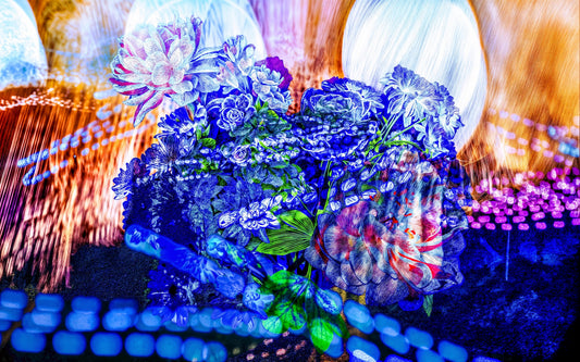 Le souffle lumineux des fleurs