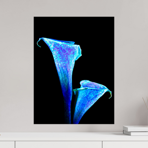 45 x 60 cm, Tirage simple sur papier photo Fuji Crystal Pearl L’Étreinte des Lys Stellaires