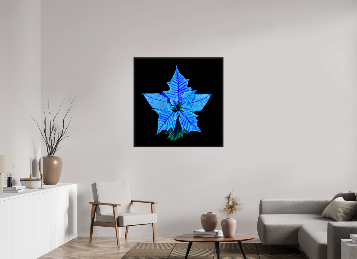 100 x 100 cm, Caisse américaine Noire La Fleur Cosmique Qui Murmure Ton Nom