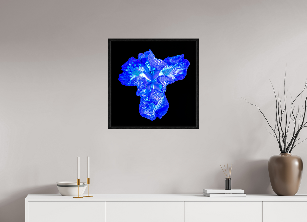 60 x 60 cm, Caisse américaine Noire Iris du Cœur Lumineux