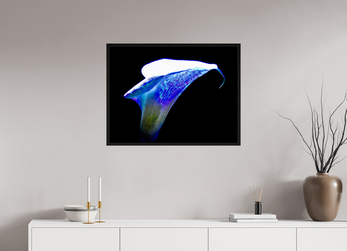 80 x 60 cm, Caisse américaine Noire L’Aile de Lumière La Voix des Éthers