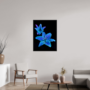 75 x 100 cm, Caisse américaine Noire Dialogue des Cœurs Stellaires