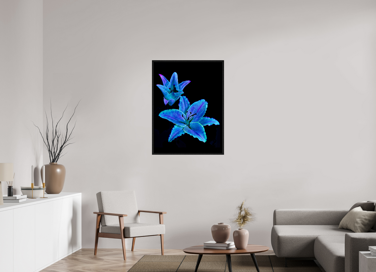 75 x 100 cm, Caisse américaine Noire Dialogue des Cœurs Stellaires