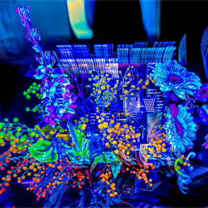 Main image Le bouquet où nos rêves s’illuminent