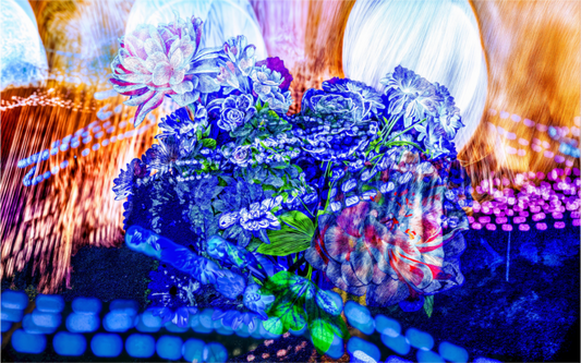 Main image Le souffle lumineux des fleurs
