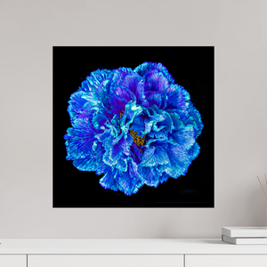 50 x 50 cm, Tirage simple sur papier photo Fuji Crystal Pearl Le Cœur Bleu qui S’ouvre à la Nuit