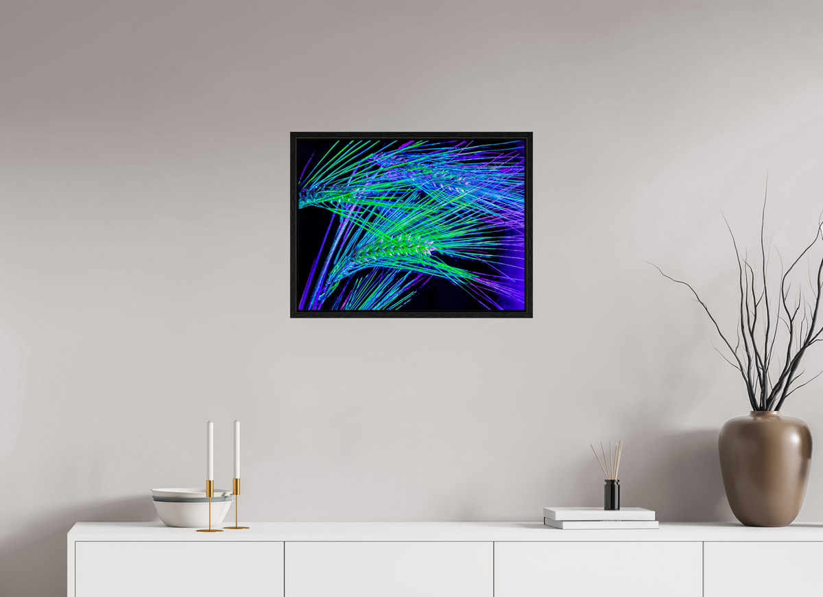 60 x 45 cm, Caisse américaine Noire Les Lignes où Court la Lumière