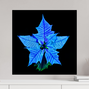 60 x 60 cm, Tirage simple sur papier photo Fuji Crystal Pearl La Fleur Cosmique Qui Murmure Ton Nom