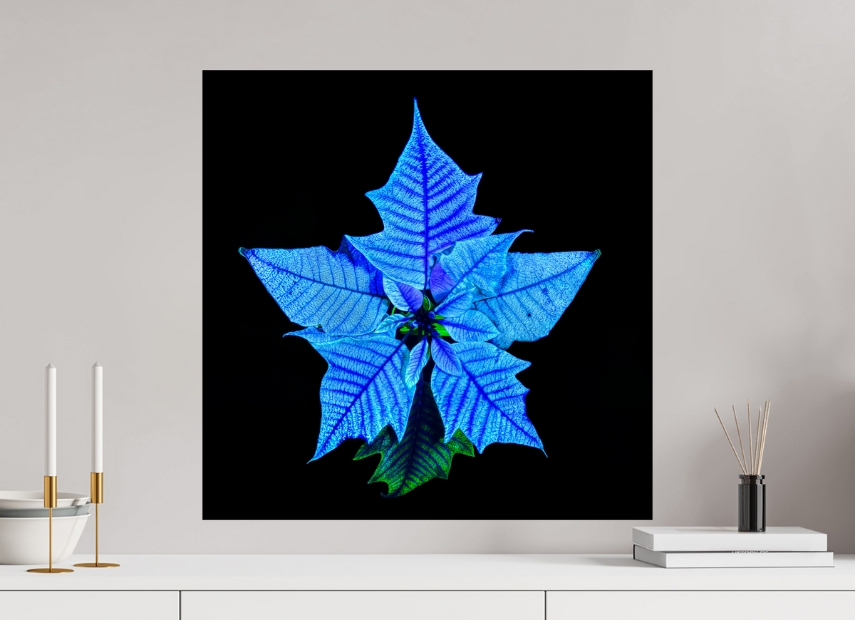 60 x 60 cm, Tirage simple sur papier photo Fuji Crystal Pearl La Fleur Cosmique Qui Murmure Ton Nom