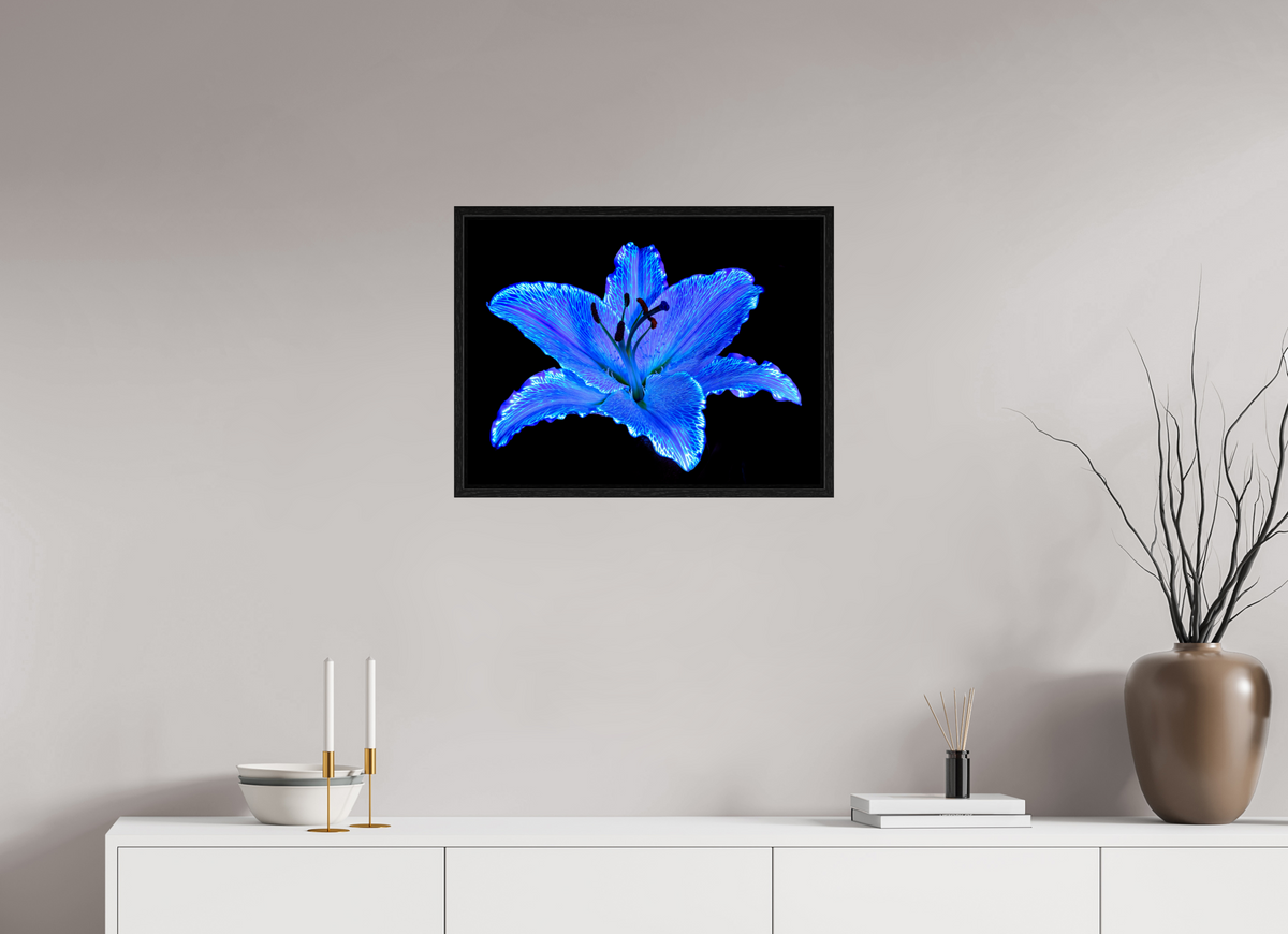 60 x 45 cm, Caisse américaine Noire Le Lys Astral