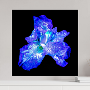 60 x 60 cm, Tirage photo sous Verre acrylique L’Opale des Ombres