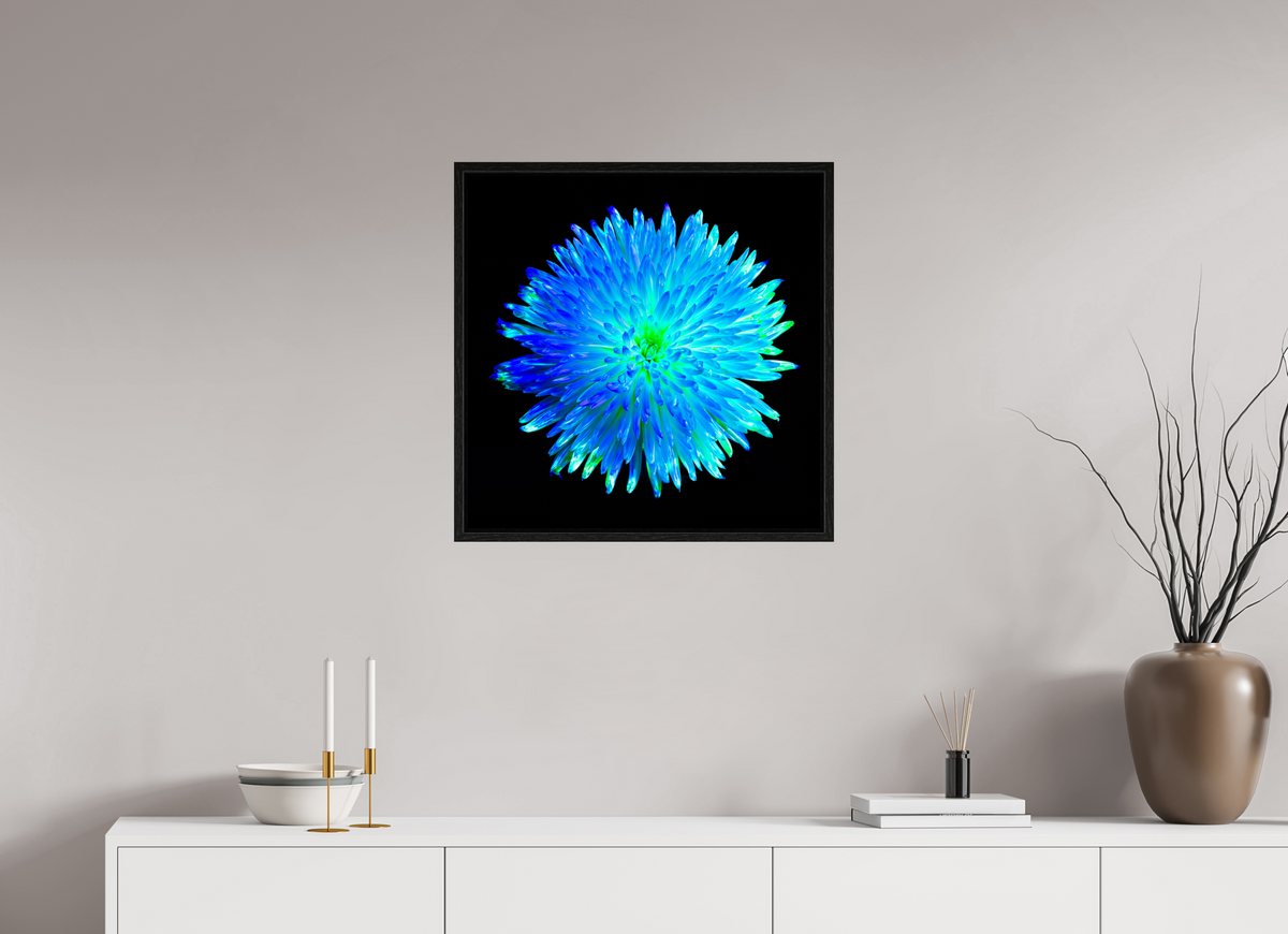 60 x 60 cm, Caisse américaine Noire L’Astre Bleu