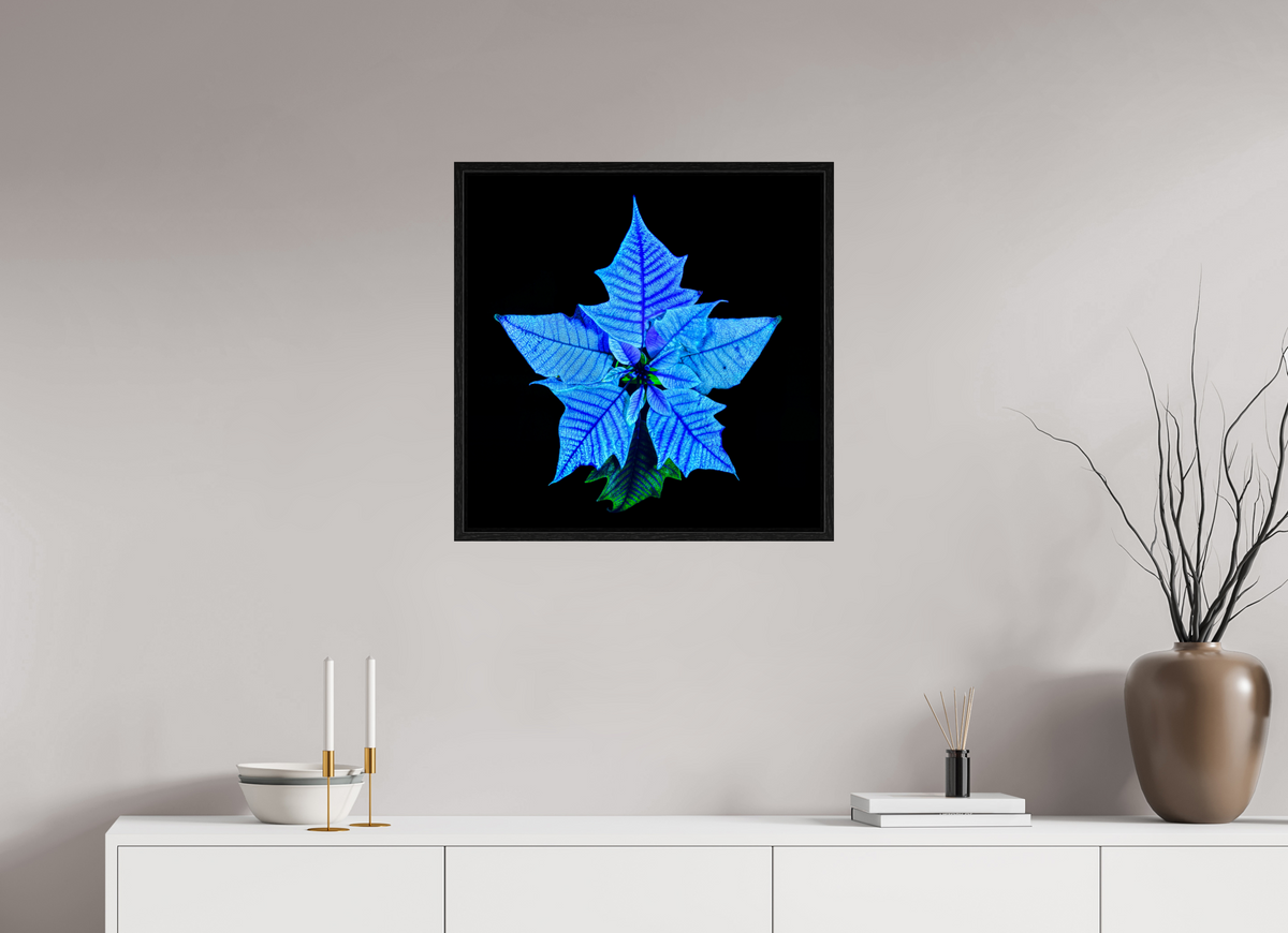 60 x 60 cm, Caisse américaine Noire La Fleur Cosmique Qui Murmure Ton Nom