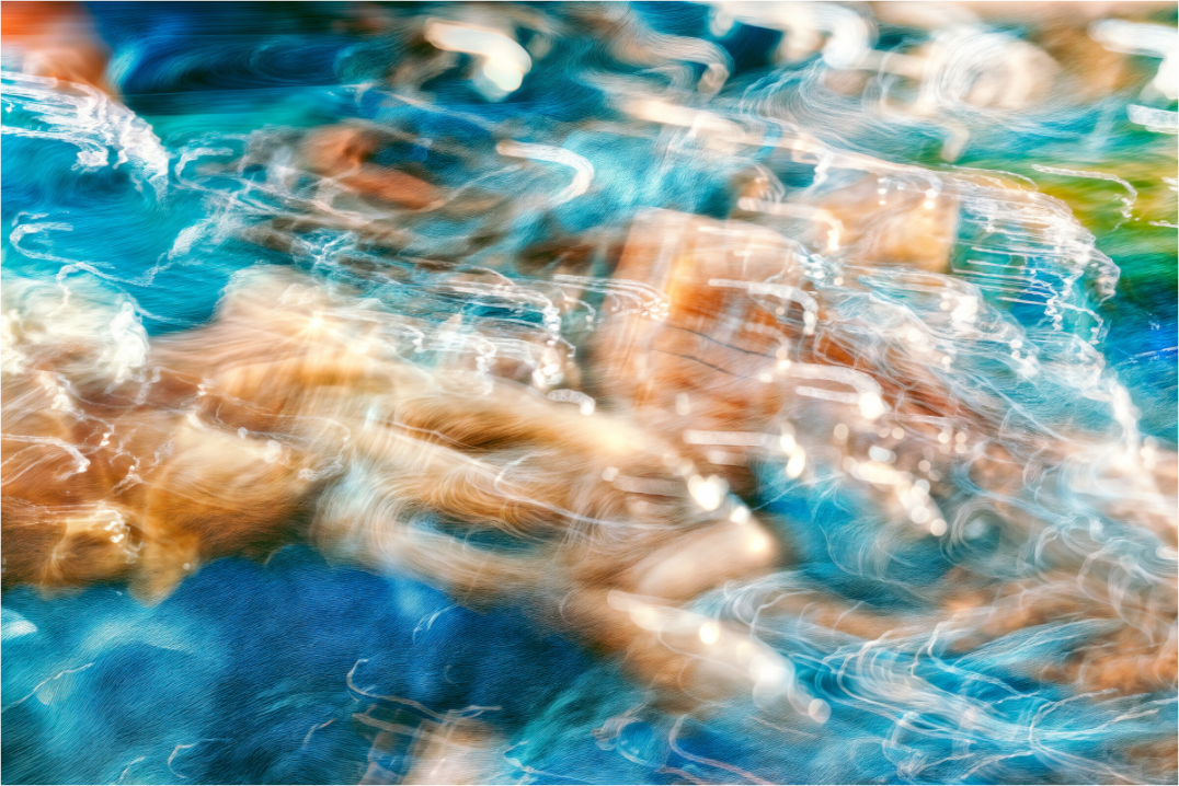 Main image La danse des eaux secrètes
