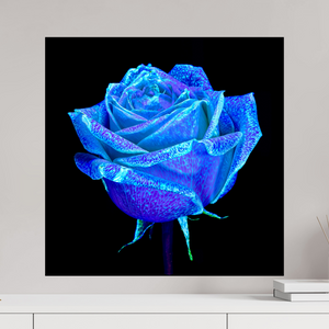 60 x 60 cm, Tirage simple sur papier photo Fuji Crystal Pearl La Rose qui Rêvait le Ciel