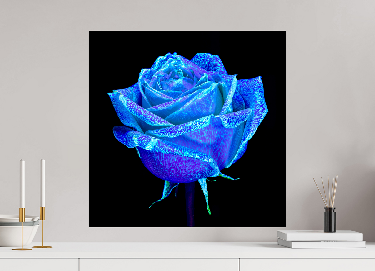 60 x 60 cm, Tirage simple sur papier photo Fuji Crystal Pearl La Rose qui Rêvait le Ciel