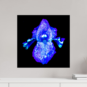 50 x 50 cm, Tirage simple sur papier photo Fuji Crystal Pearl Iris des Profondeurs Lumineuses