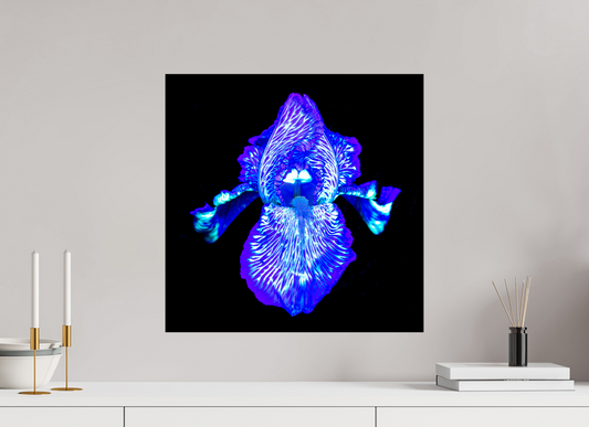 50 x 50 cm, Tirage simple sur papier photo Fuji Crystal Pearl Iris des Profondeurs Lumineuses
