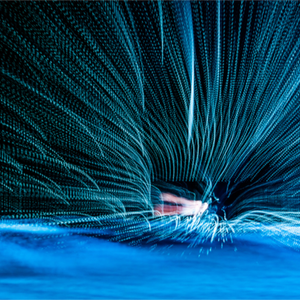 Main image Éventail de fibres