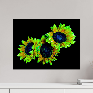 60 x 45 cm, Tirage simple sur papier photo Fuji Crystal Pearl Les gardiens du jour endormi