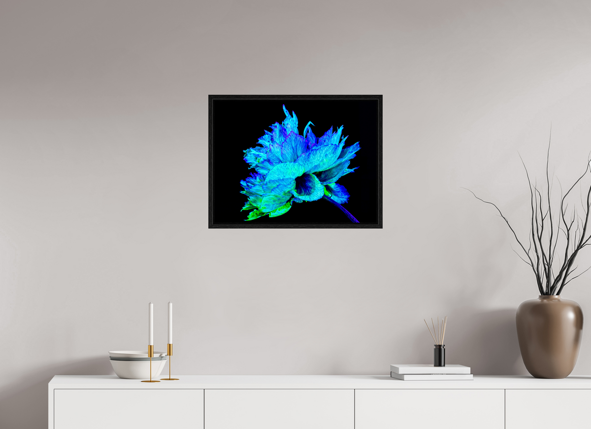 60 x 45 cm, Caisse américaine Noire L’Éclat Bleu de la Pivoine Astrale