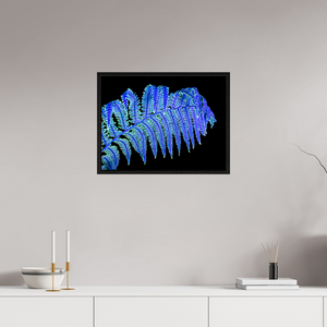 60 x 45 cm, Caisse américaine Noire La Fougère qui Murmure à la Nuit