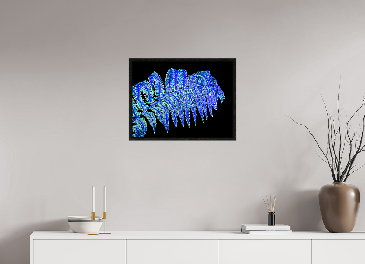 60 x 45 cm, Caisse américaine Noire La Fougère qui Murmure à la Nuit