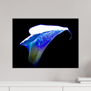 60 x 45 cm, Tirage simple sur papier photo Fuji Crystal Pearl L’Aile de Lumière La Voix des Éthers