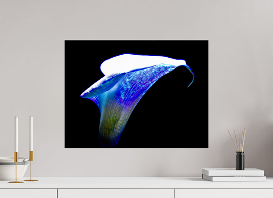 60 x 45 cm, Tirage simple sur papier photo Fuji Crystal Pearl L’Aile de Lumière La Voix des Éthers