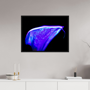 80 x 60 cm, Caisse américaine Noire Une vague pourpre au bord du silence