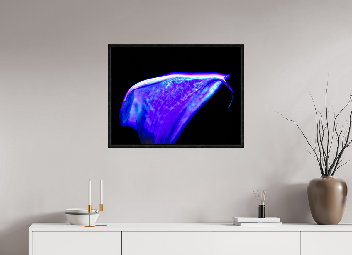 80 x 60 cm, Caisse américaine Noire Une vague pourpre au bord du silence