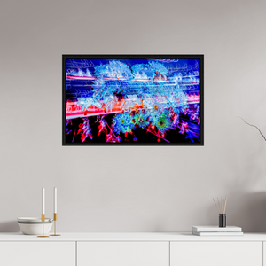 80 x 50 cm, Caisse américaine Noire Éclosions dans les courants de matière douce
