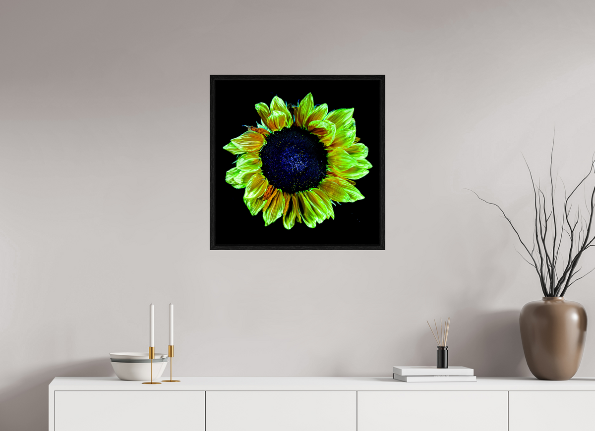 60 x 60 cm, Caisse américaine Noire Couronne de lumière