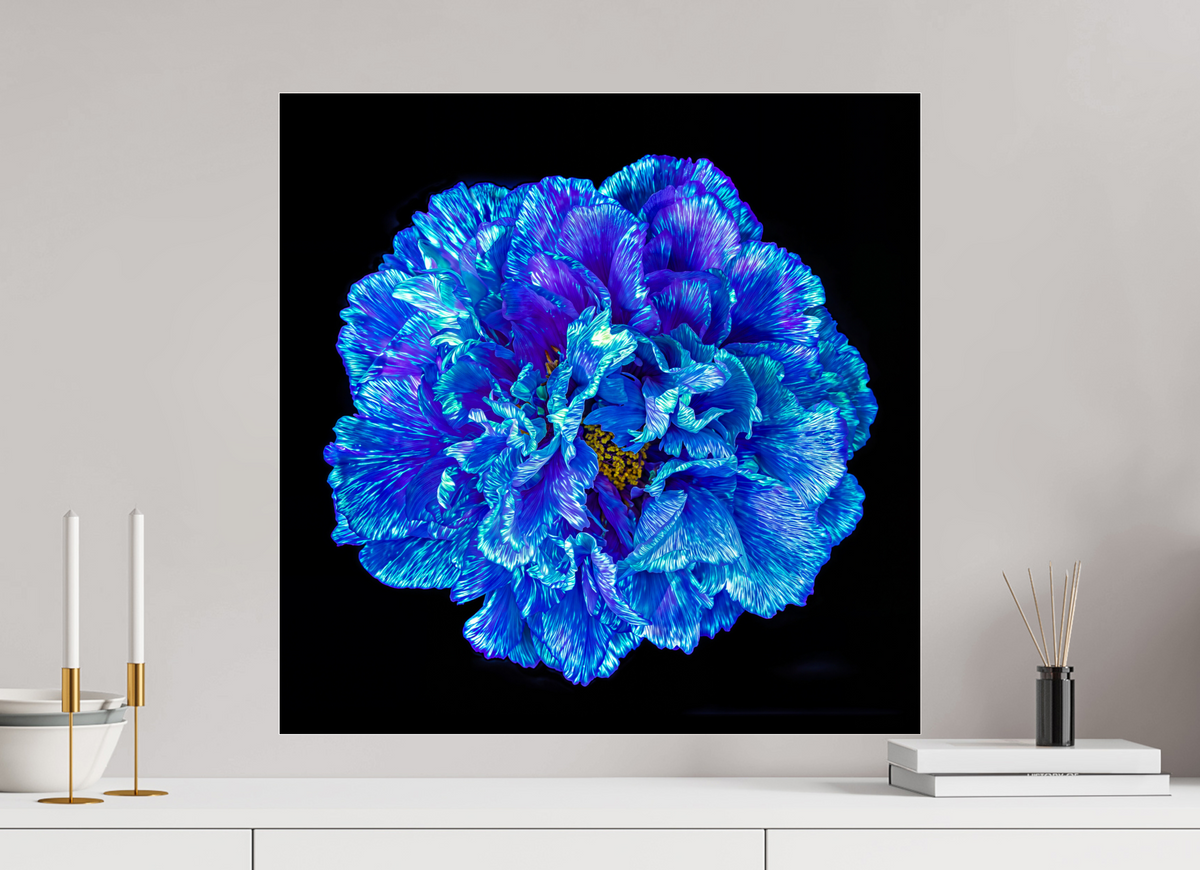 60 x 60 cm, Tirage photo sous Verre acrylique Le Cœur Bleu qui S’ouvre à la Nuit