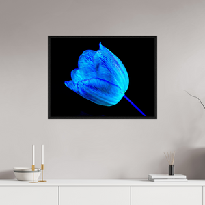 80 x 60 cm, Caisse américaine Noire À l’abri de ta lumière