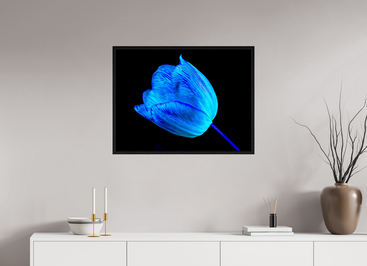 80 x 60 cm, Caisse américaine Noire À l’abri de ta lumière