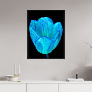 60 x 80 cm, Caisse américaine Noire Calice de lumière