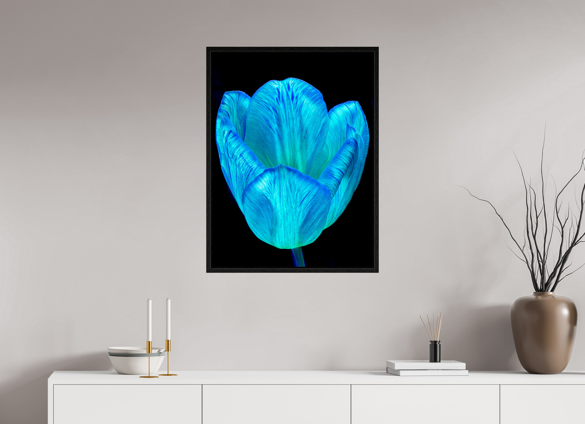 60 x 80 cm, Caisse américaine Noire Calice de lumière