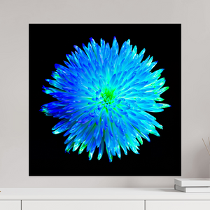 60 x 60 cm, Tirage simple sur papier photo Fuji Crystal Pearl L’Astre Bleu