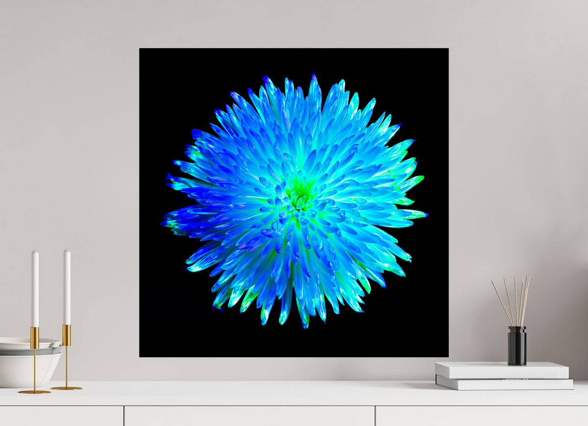60 x 60 cm, Tirage simple sur papier photo Fuji Crystal Pearl L’Astre Bleu